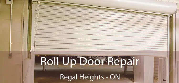  Roll Up Door Repair Regal Heights - ON