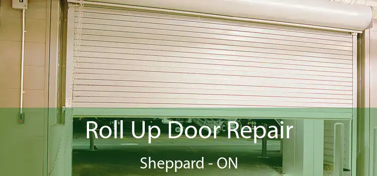  Roll Up Door Repair Sheppard - ON