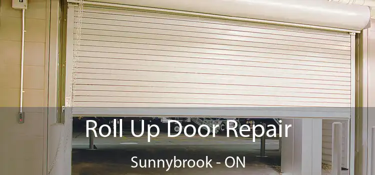  Roll Up Door Repair Sunnybrook - ON