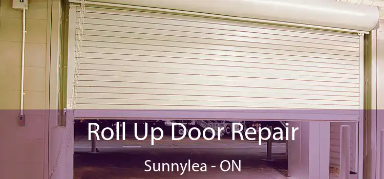  Roll Up Door Repair Sunnylea - ON