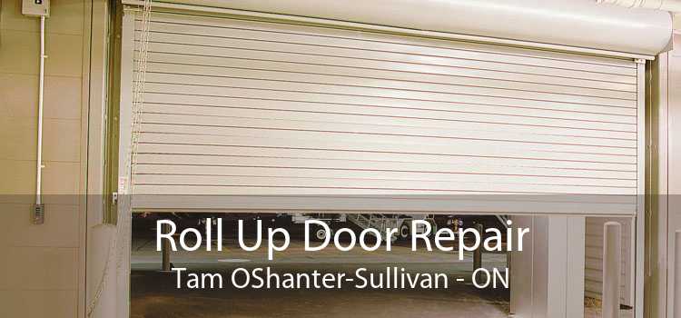 Roll Up Door Repair Tam OShanter-Sullivan - ON