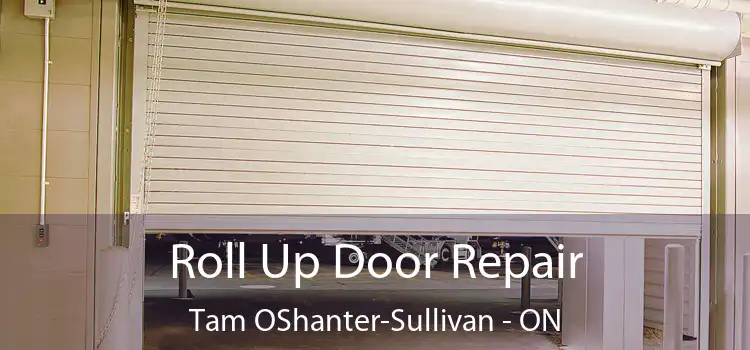  Roll Up Door Repair Tam OShanter-Sullivan - ON
