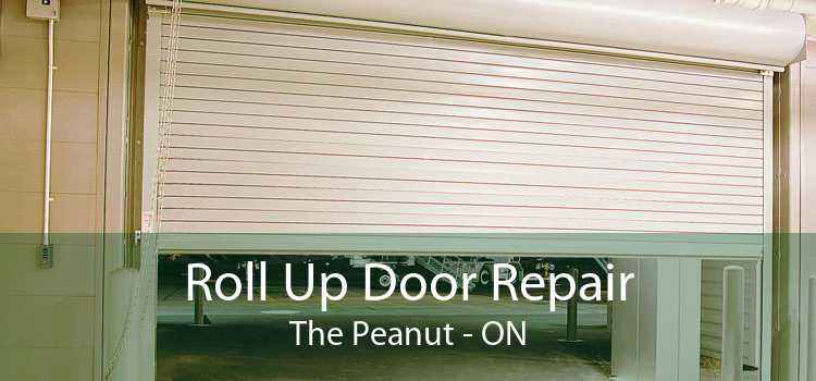 Roll Up Door Repair The Peanut - ON