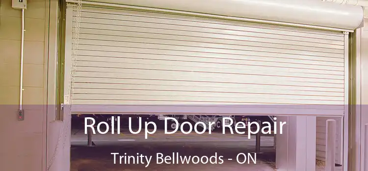  Roll Up Door Repair Trinity Bellwoods - ON
