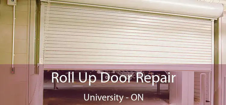  Roll Up Door Repair University - ON