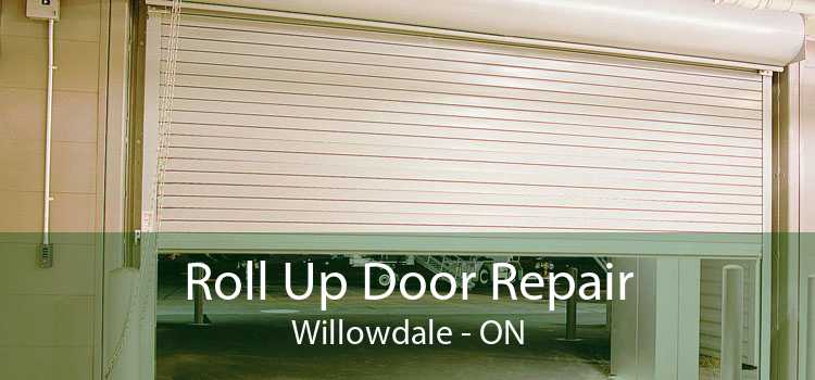 Roll Up Door Repair Willowdale - ON