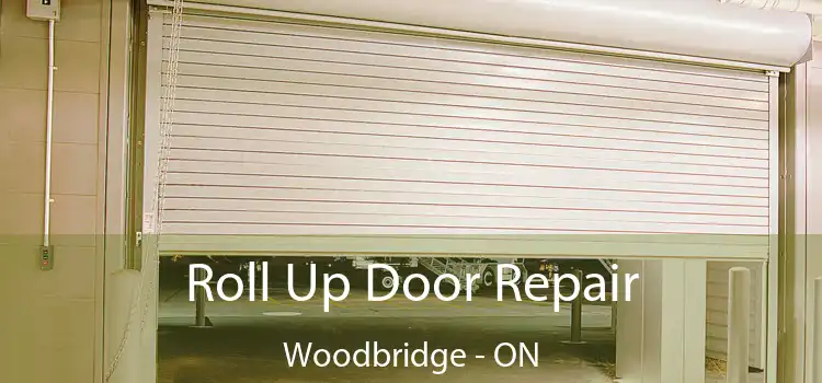  Roll Up Door Repair Woodbridge - ON