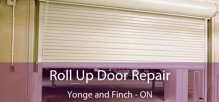  Roll Up Door Repair Yonge and Finch - ON