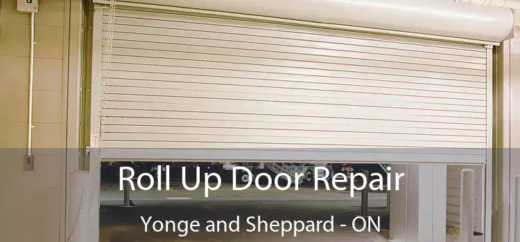  Roll Up Door Repair Yonge and Sheppard - ON