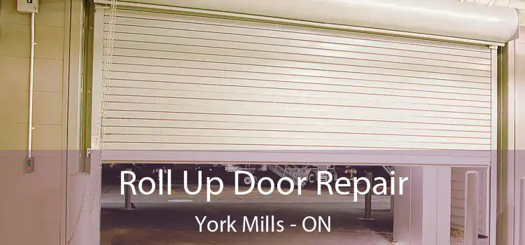  Roll Up Door Repair York Mills - ON