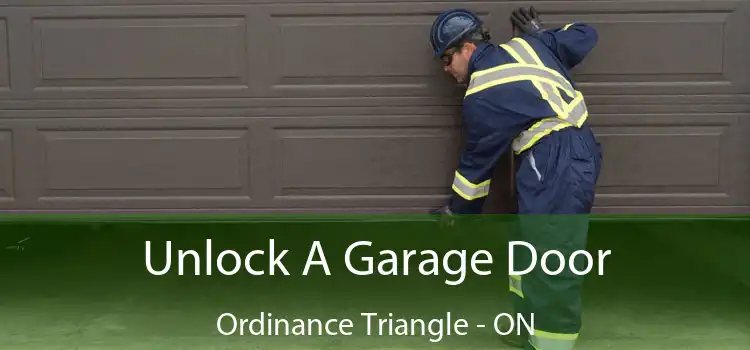  Unlock A Garage Door Ordinance Triangle - ON