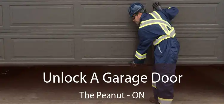  Unlock A Garage Door The Peanut - ON