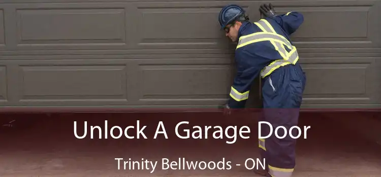  Unlock A Garage Door Trinity Bellwoods - ON