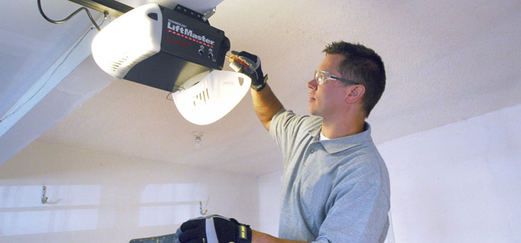 Liftmaster Garage Door Opener Repair in Ledbury, ON